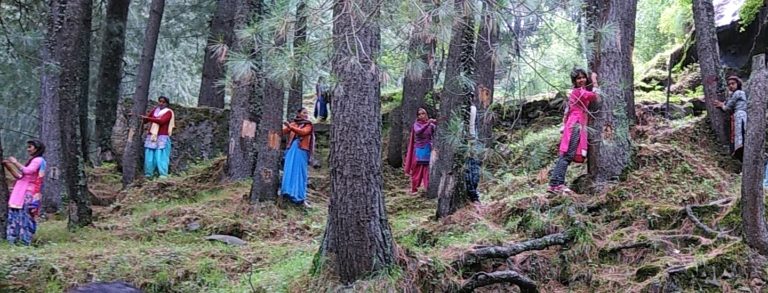 ये हुआ असली हरेला- गंगा के मायके से उठी हरे वृक्षों को बचाने की आवाज! पर्यावरणविद्ध राधा बहन व सुरेश भाई की मुहीम में शामिल हुई मातृशक्ति!