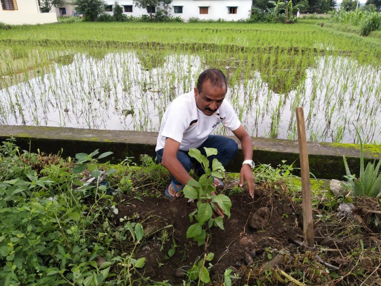 इस हरेला पर आखिर क्यों लगाया मैंने बिल्ब वृक्ष! वृक्ष कौन सा लगे ये सोच होनी चाहिए!