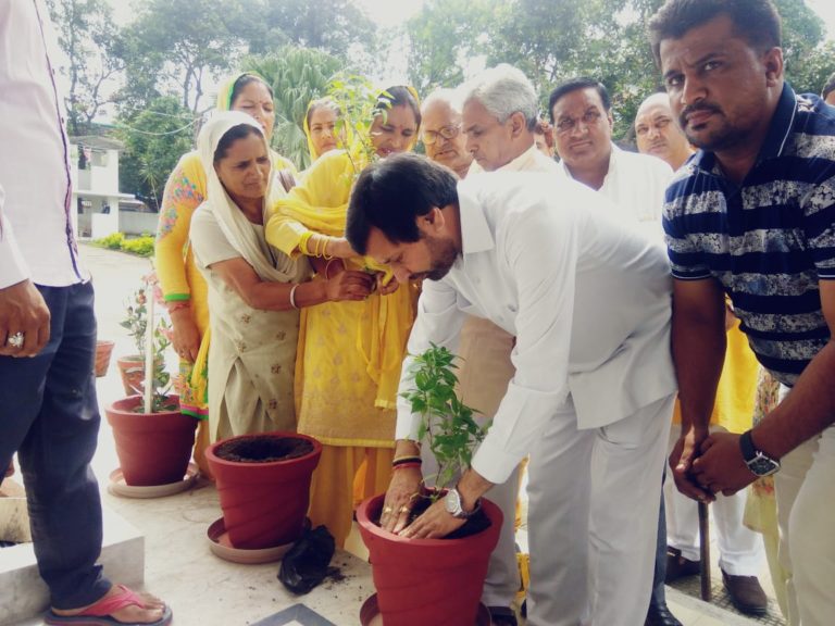 गायत्री परिवार ट्रस्ट के साथ वित् मंत्री ने किया तुलसी पौधा रोपण!