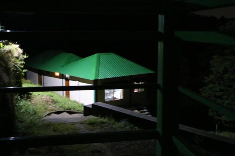 प्रकृति के बेपनाह हुश्न के नजदीक राजाजी जंगल कैसल्स!